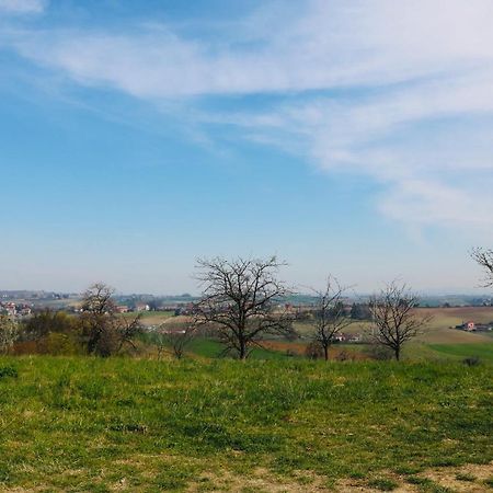 La Casa Dei Nonni Apartman Pino Torinese Kültér fotó